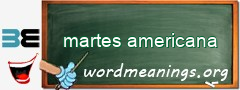 WordMeaning blackboard for martes americana